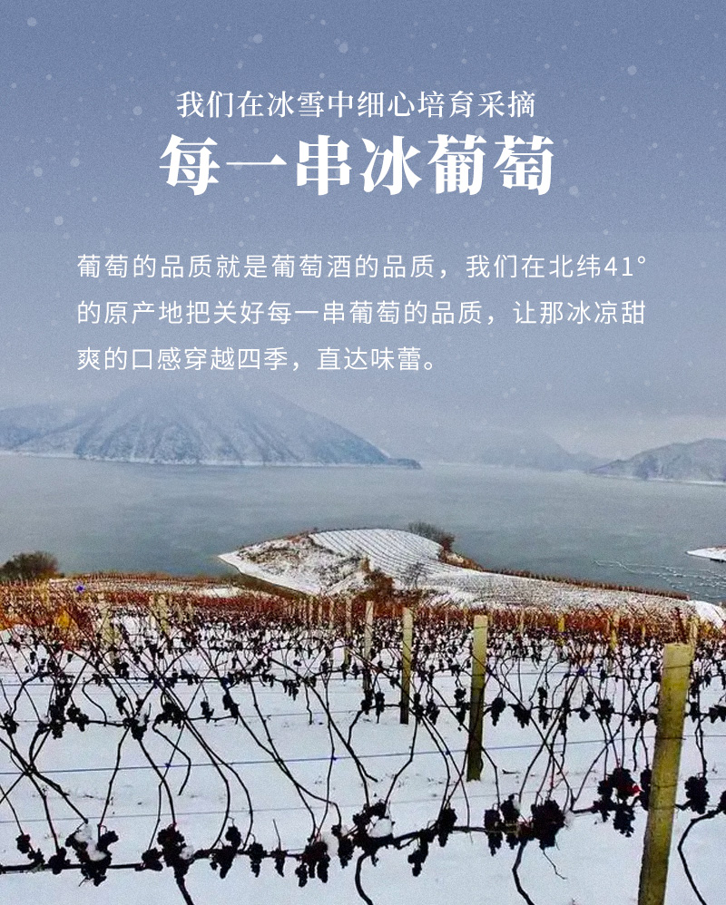 歌海娜_04.jpg